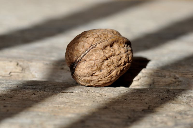 Nuts and Chocolate